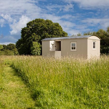 Romantic Secluded Shepherd Hut Hares Rest Southwick  Esterno foto