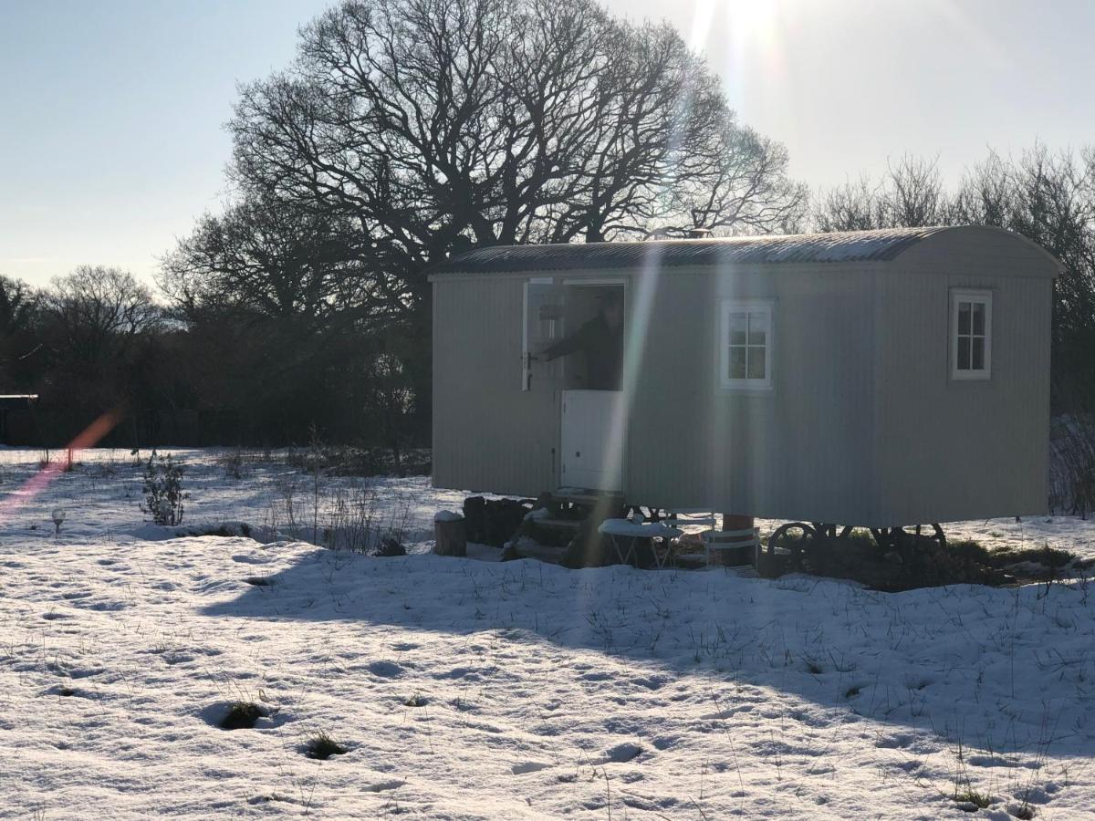 Romantic Secluded Shepherd Hut Hares Rest Southwick  Esterno foto