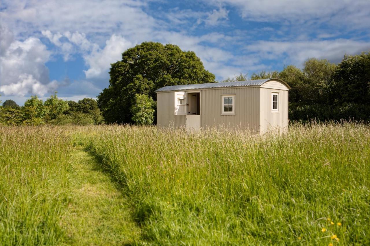 Romantic Secluded Shepherd Hut Hares Rest Southwick  Esterno foto